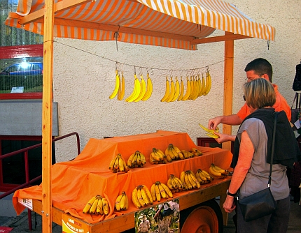 Bananenquiz