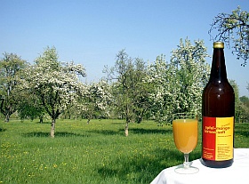 Apfel-Mango-Birnen-Saft auf einer Streuobstwiese