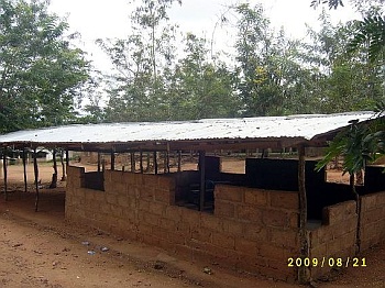 Image Improvisierter Kindergarten